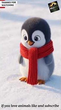 Penguins: Life on the Edge of the Ocean