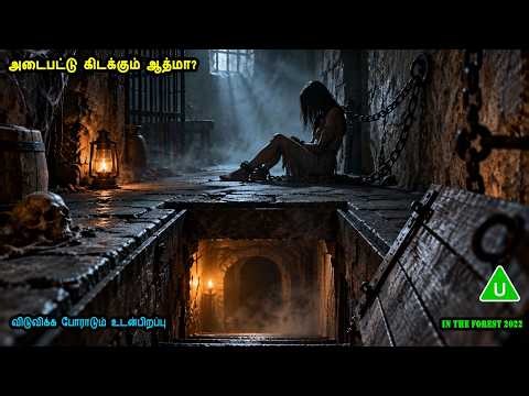 அடைபட்டு கிடக்கும் ஆத்மா? விடுவிக்க போராடும் உடன்பிறப்பு Hollywood Mistry Movies in mr tamilan voice