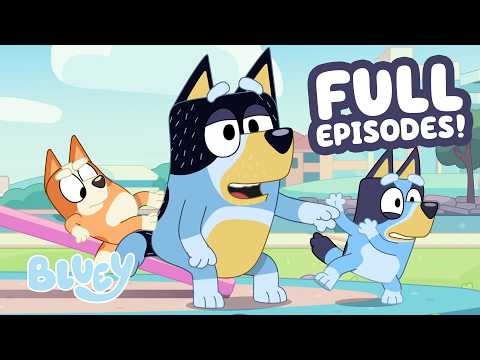 🔴LIVE: Bandit Takes Over the Seesaw ⭐️ | 2 HOURS+ Bluey Full Episodes 💙 | Bluey