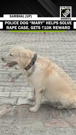 UP: Police sniffer dog “Mary” helps police trace rape case accused, honored with ₹10k cash reward