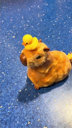 Pets Alive by ZURU Mommy Capybara and Baby Surprise Set #capybara #cuteanimal #rodents #mommy