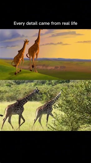 Animation vs Reality
