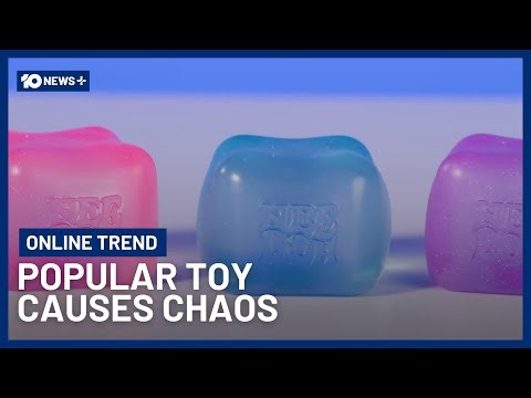 Huge Problem With $15 Toy Breaking The Internet | 10 News+