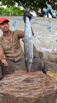 KADALTV FISHING #seafishing #seaboat #fishingequipment #fishcatching #seafood #fishshorts #fish