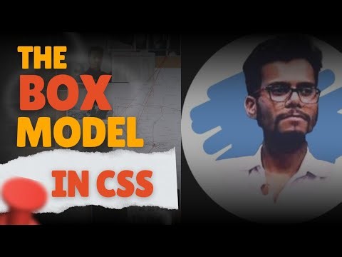 The Box Model in CSS | CSS Tutorial for Beginners 