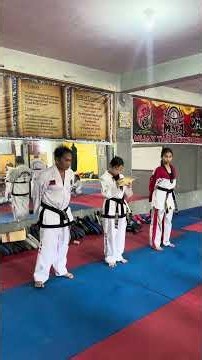 Taekwondo Diaries Sr Yellow to Jr Green Belt Awarding