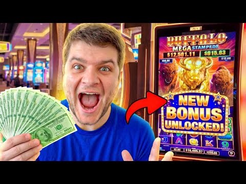 I Have NEVER Seen This Buffalo Slot machine!