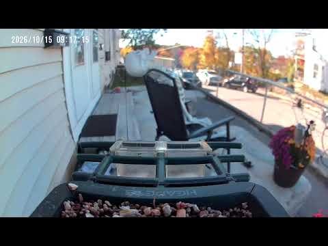 Sanford resident's bird feeder camera captures ICE detention