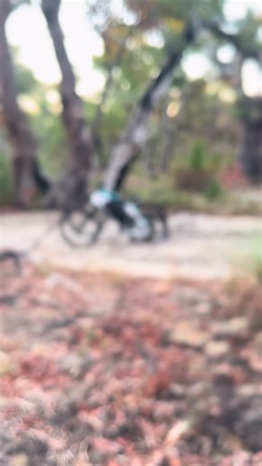 Hilarious Moment with a Computer Virus Reaction