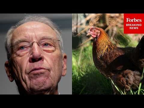 Chuck Grassley: New Laws Benefitting Chicken Farmers 'Should Be Made Permanent' In Farm Bill