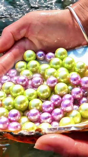 Girl Digs River Finds Giant Pearl Clam #pearls #pearl #viral #life #river
