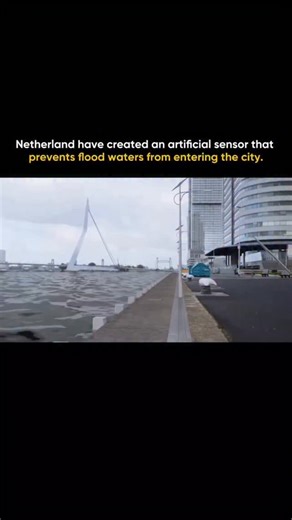 Facts Lovers on Instagram: "The Netherlands developed a sensor-based automated flood protection technology to address the constant threat of flooding in a country where large areas lie below sea level. This system combines real-time water sensors, predictive software, and movable physical barriers to prevent floodwater from entering cities before damage occurs. Sensors placed in rivers, canals, coastal zones, and urban drainage networks continuously measure water levels, pressure, rainfall, and 
