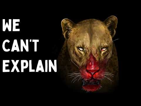 Extinct Animals That Might Still Be Alive