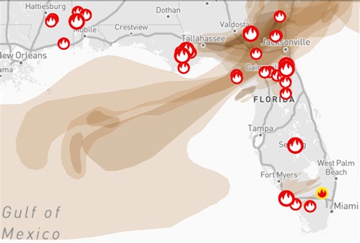 Florida fire watch: How to track wildfires, smoke from Tallahassee