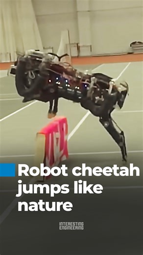 The MIT Cheetah robot is a family of agile quadruped robots developed at the Massachusetts Institute of Technology to advance legged locomotion research. Powered by custom high-torque electric actuators, the robot emphasizes energy efficiency, precise torque control, and robust mechanical design. Using a blend of model-based control and learning algorithms, MIT Cheetah can run, jump, recover from disturbances, and traverse uneven terrain, sometimes without vision. These capabilities make it a va