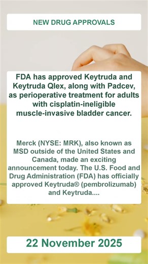 FDA Approval: Keytruda and Keytruda Qlex with Padcev for Bladder Cancer Treatment