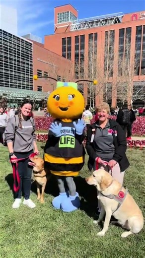 The importance of organ donation and becoming a living organ donor | Ohio State Medical Center