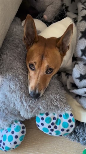 Mio M on Instagram: "#Clarins Mio’s gift day 23"