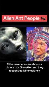 Alien Ant People - a tribe was shown a picture of a Grey Alien and they recognized it immediately