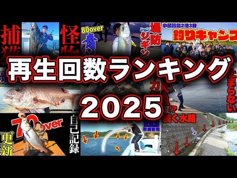 2025年釣りよか再生回数ランキング！！