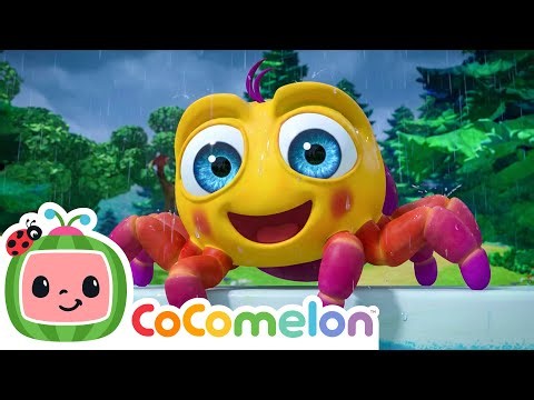 Itsy Bitsy Spider 🌦️Rain or Shine 🕷️ | Cocomelon Animal Time - Nursery Rhymes