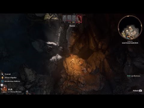 Baldur's Gate 3 infinite spell slots/charges/attack resourses from lvl 1 on console