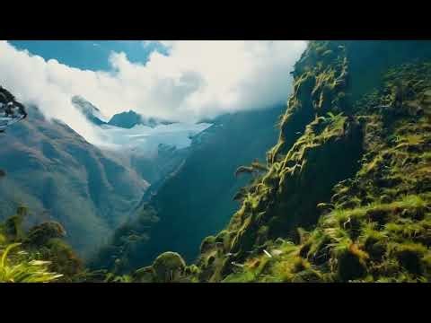 Ecosystem of the Andes Mountains | Wildlife, Climate & Life at Extreme Altitudes