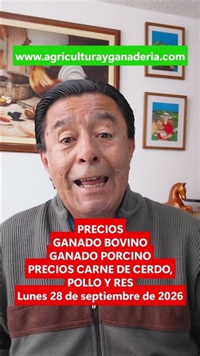 PRECIOS GANADO Y CARNES – Lunes 28 de septiembre de 2026