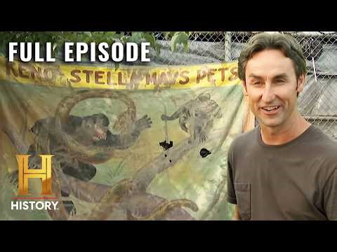 From $200 to $10,000: The Biggest Profit Ever? (S3, E1) | American Pickers | Full Episode