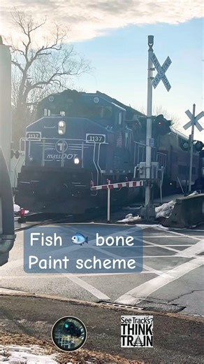 #train #mbta #railfan #railfanning #metra #trains #trainspoting #trainlovershy #trainlovers #bluedot