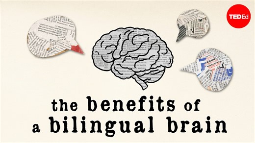 How knowing more than one language can actually change the way your brain looks and works: | TED-Ed