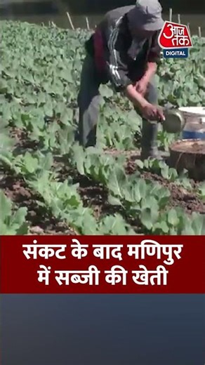 Manipur: संकट के बाद मणिपुर में सब्जी की खेती #aajtak #shorts #latestnews #news #viralshorts