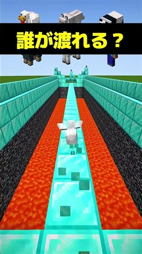 最後まで渡り切れるのはだれ？#マイクラ #shorts #minecraft