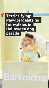 Four-legged friends parade for Howl-o-ween