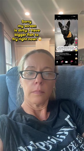 Please help me get this account shut down! #petrescue #rescue #scam | goodhomepetrescue