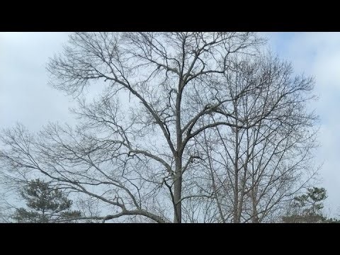 KENNEKA JENKINS THEORIES; AIN'T NO WAY