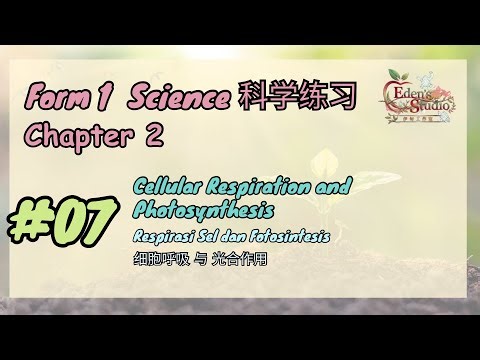 【Form 1 Science 科学练习】 Chapter 2 | #07 - 2.2 Cellular Respiration and Photosynthesis