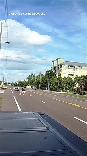 RESCUE ON CAM: "You see the dash cam, they put their little arms out ... they're adorable." A man runs into traffic to rescue two toddlers in the middle of a busy road, according to dashcam video posted by Drone Geox LLC on Facebook. https://www.wfla.com/top-videos/video-man-rescues-2-toddlers-wandering-alone-on-busy-florida-highway/ | WFLA News Channel 8