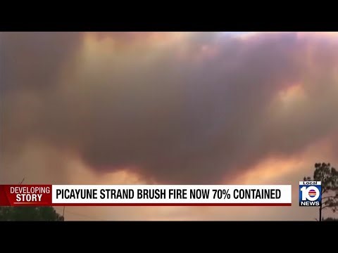 Picayune Strand State Forest fire burns more than 1,700 acres
