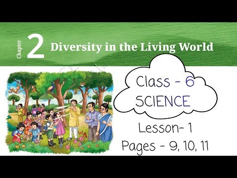 Science - Class 6 - Diversity in the living world - Lesson 1