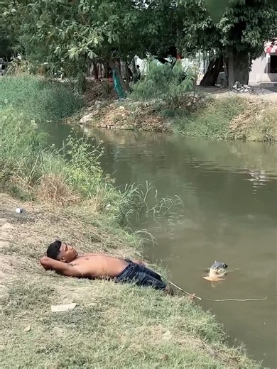 Hilarious Random Prank Video Compilation