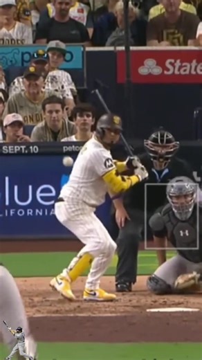 Hilarious MLB Baseball Fails That Will Make You Laugh