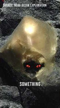 The Golden Egg of Alaska: We Finally Know What’s Inside #science #ocean #mystery #noaa #goldenegg