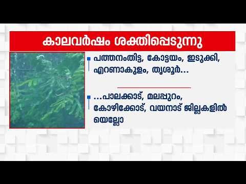 സംസ്ഥാനത്ത് കാലവര്‍ഷം ശക്തിപ്പെടുന്നു | Kerala Rains Update