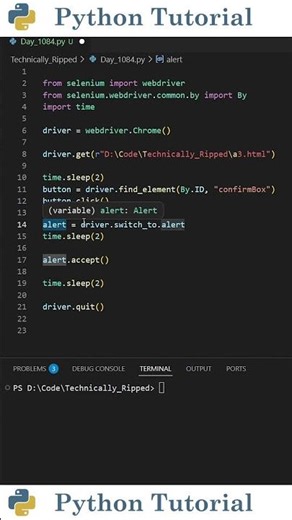 How to Click OK on Alerts in Selenium | Python Tutorial