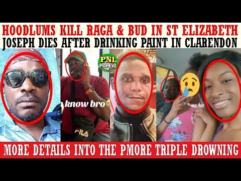 Hoodlums KlLL Raga & Bud In St Bess + Joseph DlES After Drinking Paint + More Triple Drowning Info