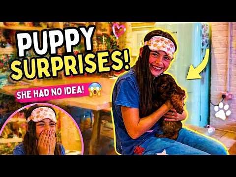 Emotional Puppy Surprise That Will Melt Your Heart - Compilation 2026 #emotional #pets #surprise