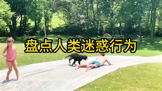 盘点人类的迷惑行为