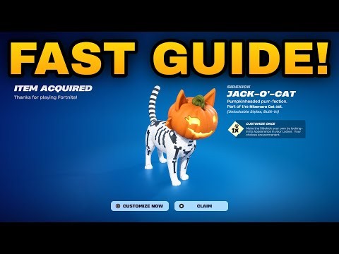 How To COMPLETE ALL JACK O CAT SIDEKICK REWARDS QUESTS CHALLENGES in Fortnite! (Earn Points Guide)