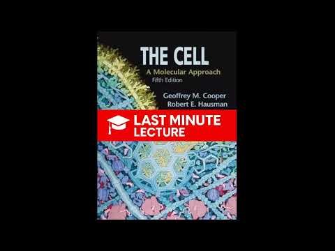 Fundamentals of Molecular Biology | Chapter 4 – The Cell: A Molecular Approach (5th)